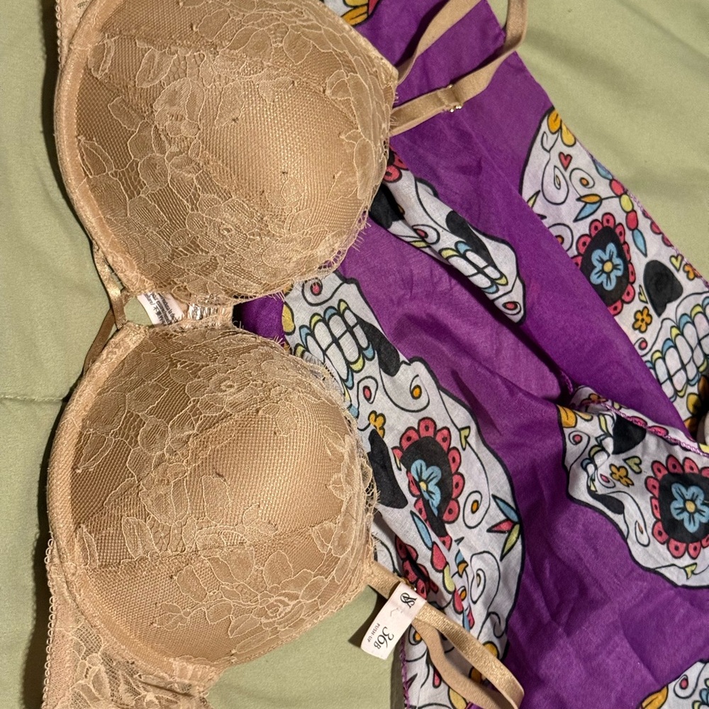 Victoria Secret V Plunge PushUp bra NWT!